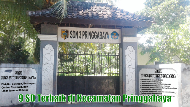 9 SD Terbaik di Kecamatan Pringgabaya Versi BANSM